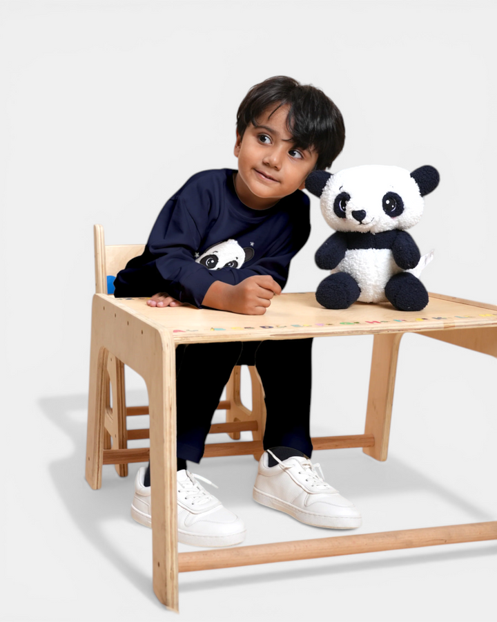 Dreamy Bamboo Panda Snuggle Set (Toy included)
