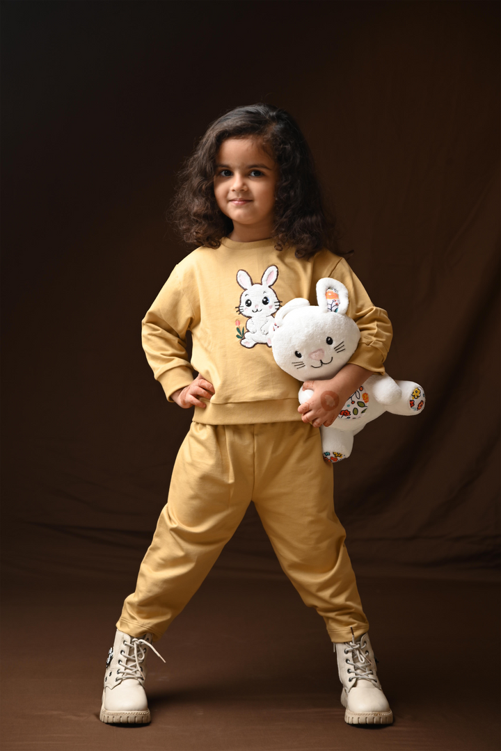 Bunny Hop Rabbit Snuggle Set (Toy included)