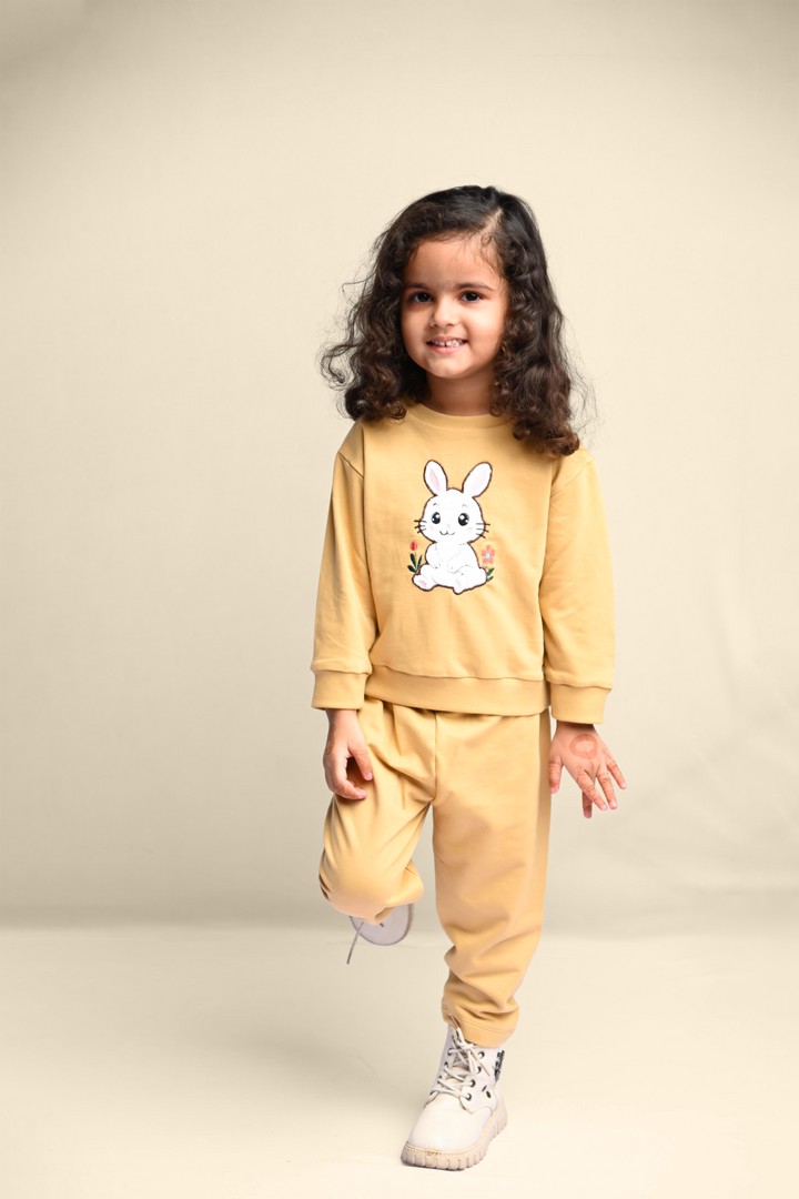 Bunny Hop Rabbit Snuggle Set (Toy included)