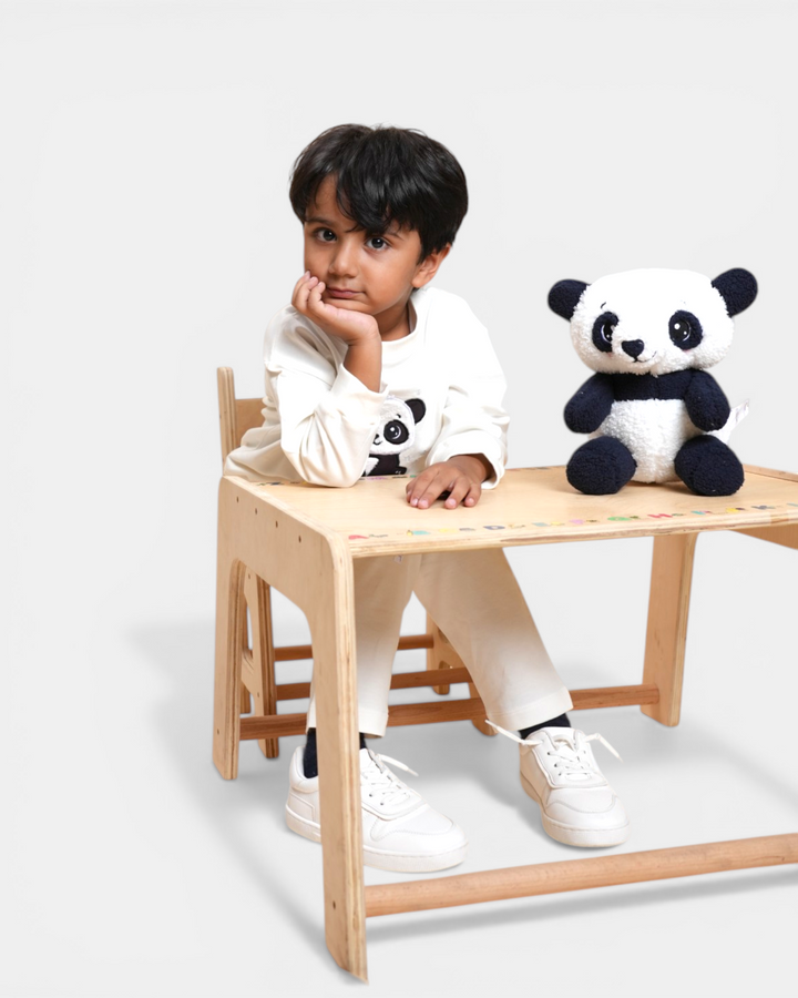 Snowy Paws Panda Snuggle Set