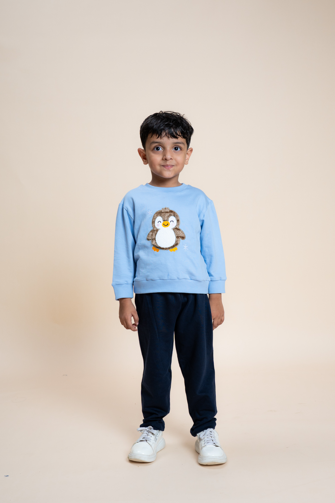 Frosty Hugs Penguin Snuggle Set (Toy included)