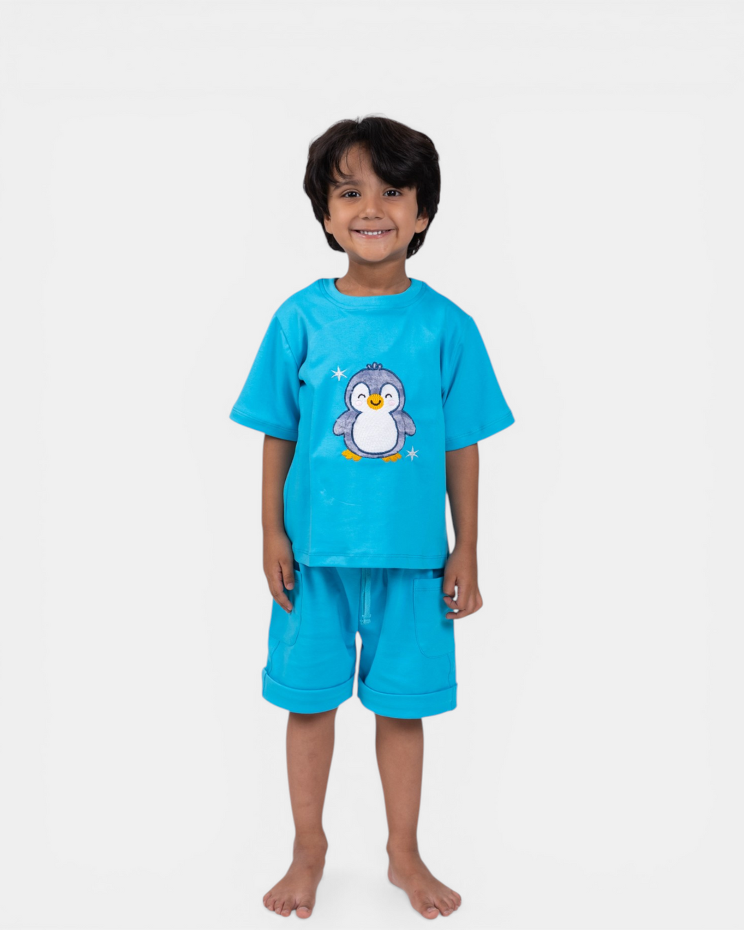🐧 Piko the Penguin