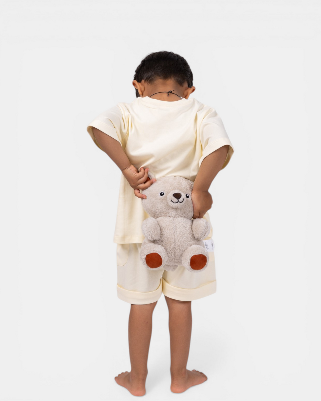 🧸 Bobo the Teddy